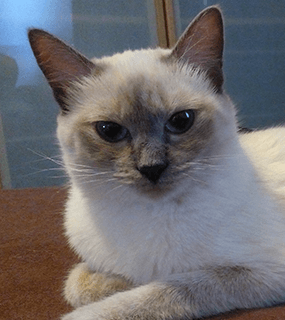 Fiona